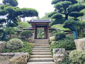 宁海专业古建装修公司,提供全方位中式古典装修服务